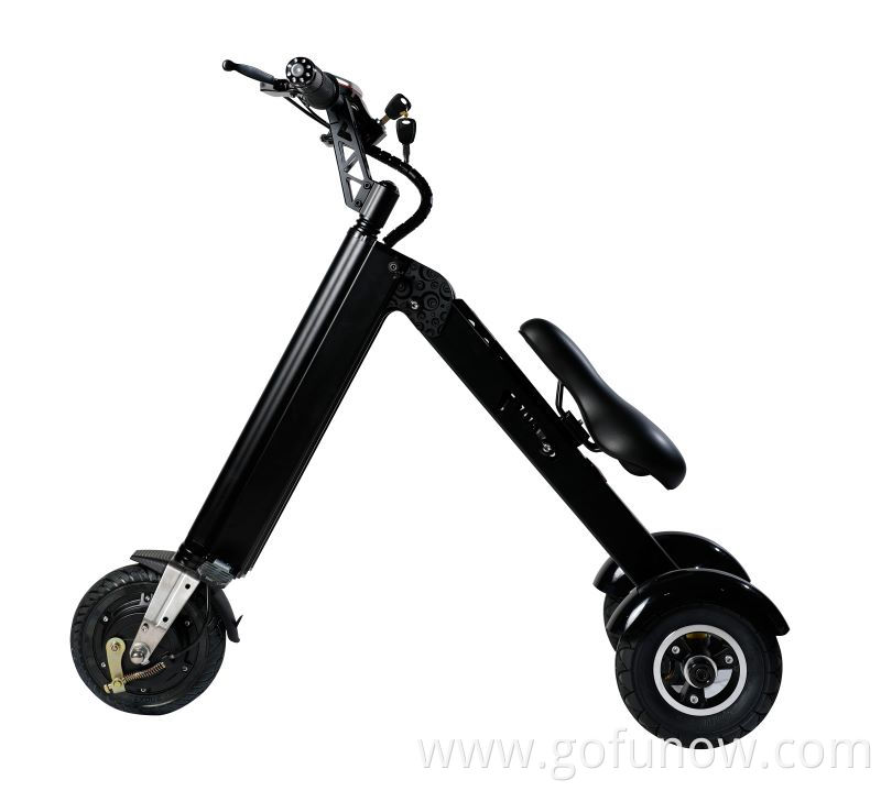 Custom Moped Price Electric Scooter 3Wheel With CE Approved G-FUN